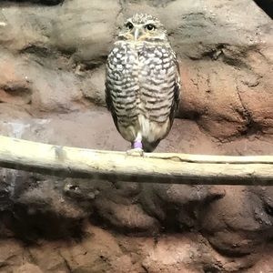 Meet your Posher, Steve